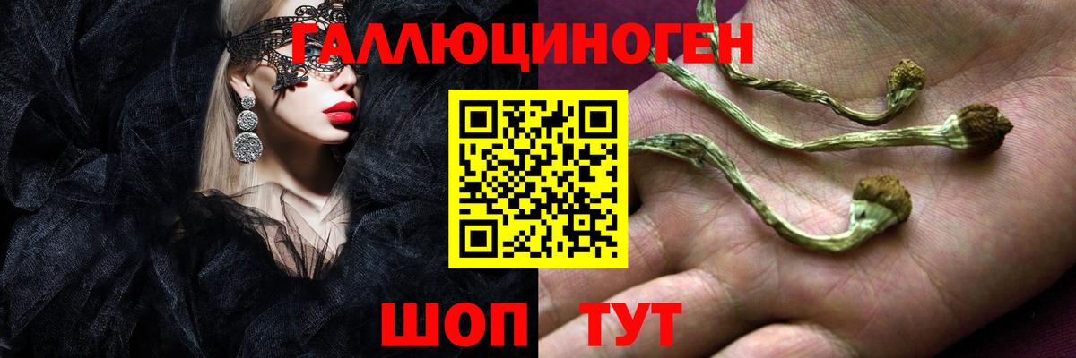 Галлюциногенные грибы мицелий  Вход с VPN  Дербент 